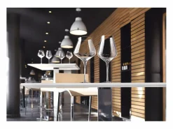 Chef & Sommelier Vaso|Copas de vino Reveal'Up 21cl - Juego de 6