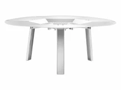 Difusor de Calor SucceBuy para Brasero, 63.5x25.4 cm Protección Térmica Redonda para Fuego de Madera, Difusor de Calor de Acero Inoxidable 304 Plateado New