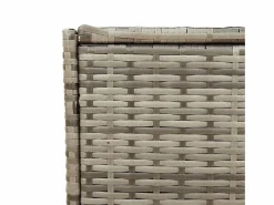 Garden Furniture Dorian Caja de almacenaje de jardín ratán sintético 283L Gris Sale