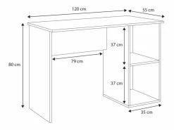 Mesa De Ordenador|Escritorio 120x55x80 cm con 2 Estantes – Diseño Moderno y Funcional para Oficina, Estudio o Dormitorio Juvenil