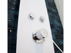 Essebagno Esseblack and White panel de ducha mecánico Blanco Online