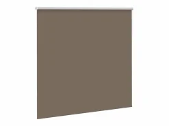 Estor Enrollable Opaco Color Café 145x150 cm Tela Ancho 141,6cm^Clicnbuy Outlet