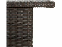 Garden Furniture Farid Mesa alta de jardín ratán sintético marrón 120x55x110 cm Marru00f3n New