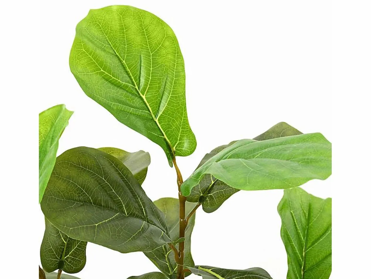 Ficus artificial 48 hojas 165 cm^ Outlet