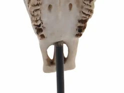 MCW Figura decorativa de pie cráneo de vaca -D30 Beige Sale