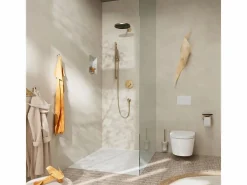 HANSGROHE Pulsify S 100 EcoSmart rociador de ducha cepillado Bronce Sale