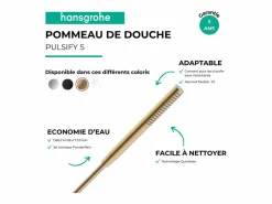 HANSGROHE Pulsify S 100 EcoSmart rociador de ducha cepillado Bronce Sale