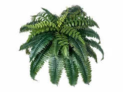 Helecho Artificial SucceBuy, Pack de 2, Helecho Falso de Boston 90-100 cm, 35 Hojas, Colgante, Decoración Interior/Exterior, Hogar/Oficina, Maceta No Incluida^ Online