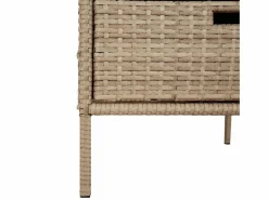 Garden Furniture Holiday Armario de almacenaje de jardín ratán PE 55x59x80 cm Beige Outlet