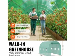 Invernadero Tipo Túnel SucceBuy 2 x 3 x 2 m, Estructura Galvanizada, Cubierta de PE, Verde Clearance