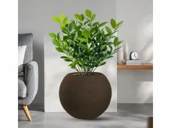 Jarrón de resina para plantas de interior y exterior, diseño esfera redonda d.40x33h Botticelli Marrón^ Outlet
