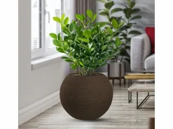 Jarrón de resina para plantas de interior y exterior, diseño esfera redonda d.40x33h Botticelli Marrón^ Outlet