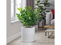 Jarrón|Jarrón de resina para plantas de interior y exterior, diseño cilíndrico redondo d.36x35h Modigliani