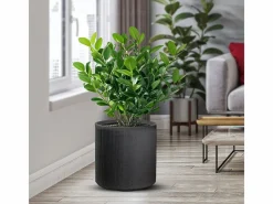 Jarrón de resina para plantas de interior y exterior, diseño cilíndrico redondo d.36x35h Modigliani^