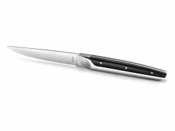 Amefa Juego de 4 cuchillos de carne Emperor - Estilo de alta gama, hoja dentada, mango bimaterial ABS y acero inoxidable Gris Clearance
