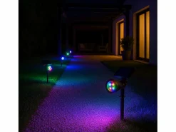 Lumisky Juego de 2 focos solares 200LM SPIKY Negro Best