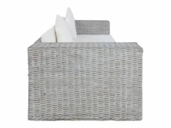 vidaxl Juego de sofás con cojines 2 piezas ratán natural Gris Best