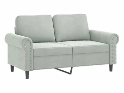 vidaxl Conjunto Sofá Y Sillón|Juego de sofás con cojines 2 piezas terciopelo claro