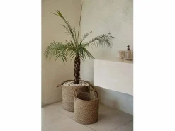Bazar Bizar La Cesta Sensity - Natural - XL Color natural claro Online