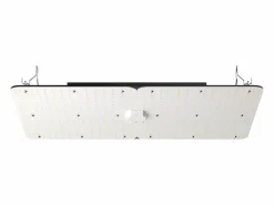 Lámpara de Crecimiento LED SucceBuy 300 W, Diodos Samsung de Intensidad Variable, para Plantas de Interior, Plántulas, Vegetación, Floración, Controlador en Cadena^ Discount
