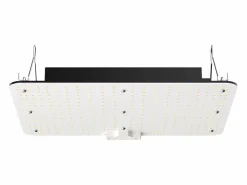 Lámpara de Crecimiento LED SucceBuy 150 W, Espectro Completo de Intensidad Variable, Diodos Samsung para Plantas de Interior, Vegetación, Floración, Invernadero Negro Hot