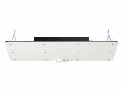 Invernadero De Jardín|Lámpara de Crecimiento LED SucceBuy 200 W, Diodos Samsung de Alto Rendimiento para Plantas de Interior, Plántulas, Vegetación y Floración, Cultivo en Invernadero