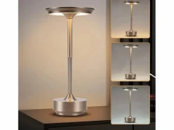 NETTLIFE Lámpara de noche inalámbrica , lámpara de mesa LED a batería, lámpara táctil regulable con batería recargable por USB, paquete de 2 Gris Online