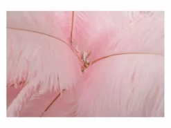 Lámpara de pie Palm Cm Ø55X160 Rosa Online