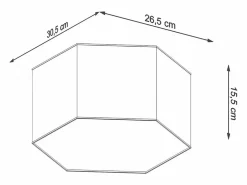 Sollux Lighting Plafón|Lámparas de techo Solinia moderno de CLORURO DE POLIVINILO - 2 fuentes luminosas 4000K - L.30,5 x A.15,5 cm -