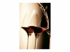 Chef & Sommelier Vaso|Lote de 6 Copas de Pie Soft Open Up 47 cl - Colección Open Up