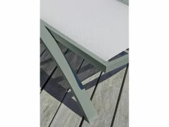 Dcb Garden Tumbona|Lote de 2 tumbonas de lona plastificada y aluminio