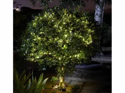 Smart garden products Luci- guirnalda solar - Blanco cálido - 100 LED - 11,9 m Multicolor Outlet
