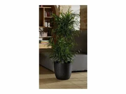 EDA Maceta de 14,8 Ø 29,5 x 27,1 cm - Negra Negro Online