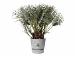 Maceta redonda 40 - Exterior Ø 39 x 36,8 cm - Living hormigón^ELHO Outlet