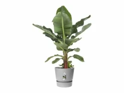 Maceta redonda 40 - Exterior Ø 39 x 36,8 cm - Living hormigón^ELHO Outlet