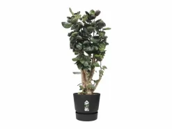 ELHO Maceta redonda 40 - Exterior Ø 39 x 36,8 cm - Living Negro New