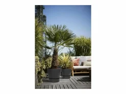 ELHO Maceta redonda 40 - Exterior Ø 39 x 36,8 cm - Living Negro New