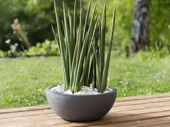 Macetero Graphit Up Redondo de Plástico Ø 40 cm 14,9 L^EDA Outlet