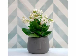 Macetero MOA Vinthera diseño de cara ø12,5x10,5 cm Gris Outlet
