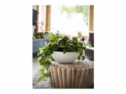 EDA Macetero|Macetero redondo de plástico Graphit Up lima Ø 40 cm 14,9 L