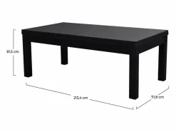 Rendez-Vous Déco Billar|Mesa de billar convertible negra con alfombra - Eddie