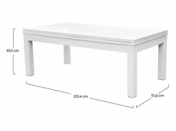 Rendez-Vous Déco Billar|Mesa de billar convertible blanca con alfombra - Eddie