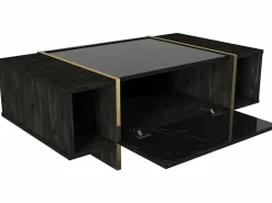 Vente-unique Mesa de centro - 1 puerta y 2 estantes - Efecto mármol negro y dorado - CADEBA Negro / Color natural oscuro New