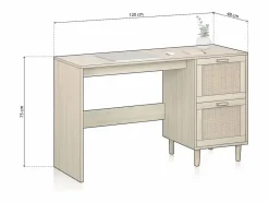 duehome Mesa De Ordenador|Mesa de escritorio con 2 cajones en pino y rattán 120x48 cm Made Pino - Rattan