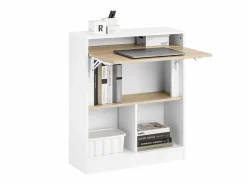 Mesa Escritorio Plegable Mesa Plegable FWT104-WN ES^Sobuy New
