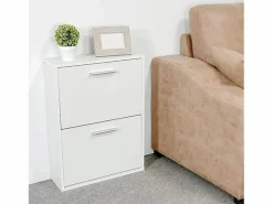 Meyvaser - Zapatero con 2 Puertas, Mueble para Zapatos Estrecho en Color , Medidas: 73 cm (Alto) x 54 cm (Ancho) x 18 cm (Fondo) Blanco Sale