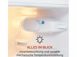 Electrodomésticos De Frío|Mini nevera retro, 92 L en total, 28 L en congelador, 64 L en frigorífico, clase energética D, LED, diseño retro, color (105,5 x 41 x 45,5 cm)