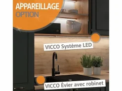 Vicco Mueble de cocina oro power roble/antracita 350x46x81.6 r-line Color natural oscuro Hot