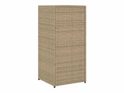 Armario De Jardín|Mueble de jardín de resina tejida, 55x55x111 cm