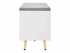 ModernLuxe Banco Y Pie De Cama|Banco Y Pie De Cama|Mueble para zapatos 121x35x49cm - con cojín - puertas correderas y estantes abiertos -